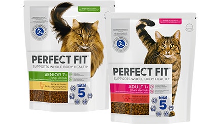 dry cat food