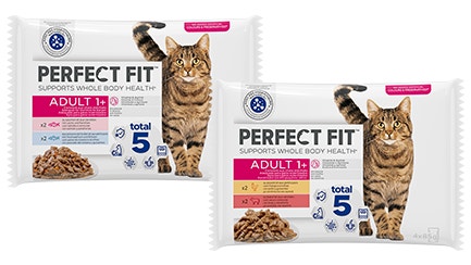 wet cat food