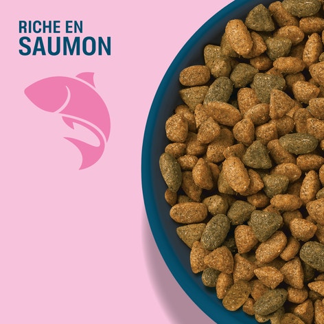 PERFECT FIT ADULT 1+ Croquettes Riche en Saumon frais chat adulte stérilisé 1,4kg & 2,8kg image 1