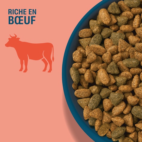 PERFECT FIT ADULT 1+ Croquettes Riche en Boeuf pour chat adulte stérilisé 1,4kg image 1