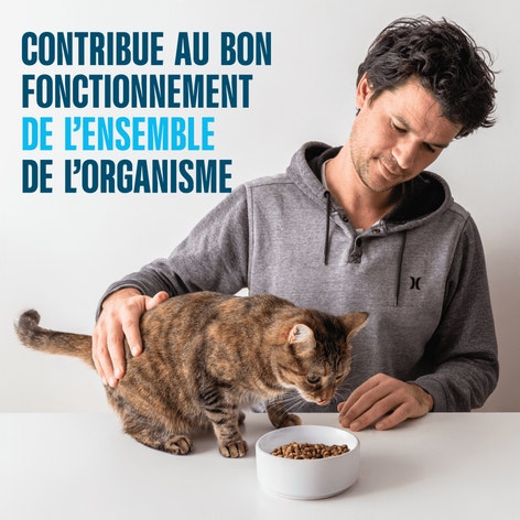 PERFECT FIT Adulte Stérilisé Sachets fraîcheur en sauce aux poissons pour chat 4x85g image 1