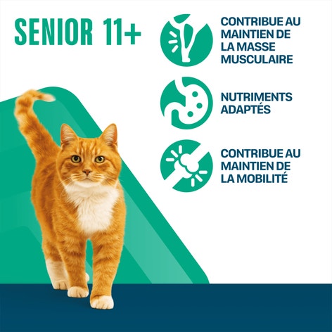 PERFECT FIT SENIOR 11+ Croquettes Riche en Poulet chat senior stérilisé 1,4kg & 2,8kg image 1