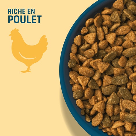 PERFECT FIT SENIOR 11+ Croquettes Riche en Poulet chat senior stérilisé 1,4kg & 2,8kg image 1