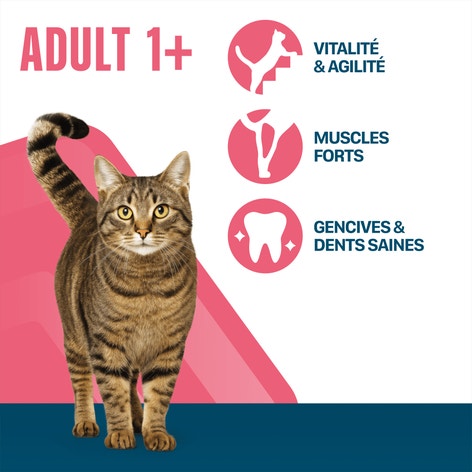 PERFECT FIT ADULT 1+ Croquettes Riche en Saumon frais chat adulte stérilisé 1,4kg & 2,8kg image 1