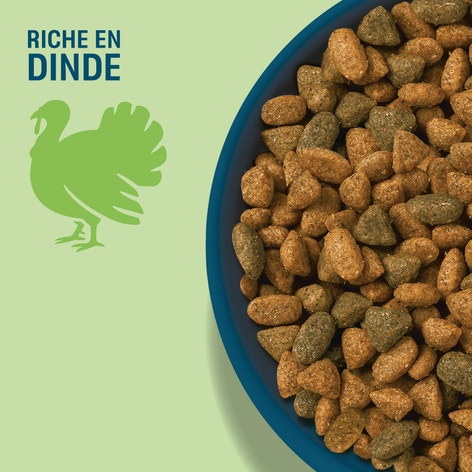 PERFECT FIT SENSITIVE 1+ Croquettes Riche en Dinde chat adulte sensible stérilisé 1,4kg image 1