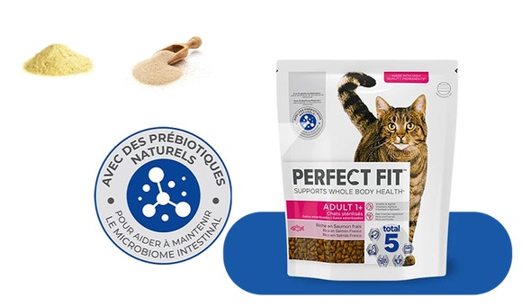 cat product