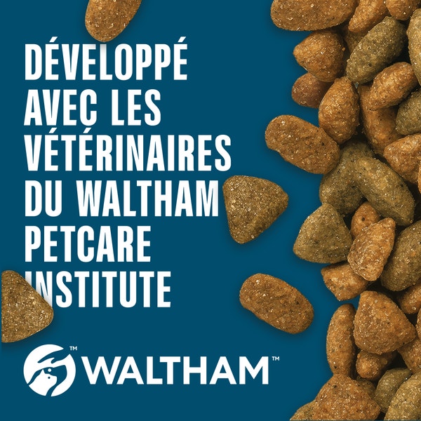 PERFECT FIT SENIOR 11+ Croquettes Riche en Poulet chat senior stérilisé 1,4kg & 2,8kg image 5