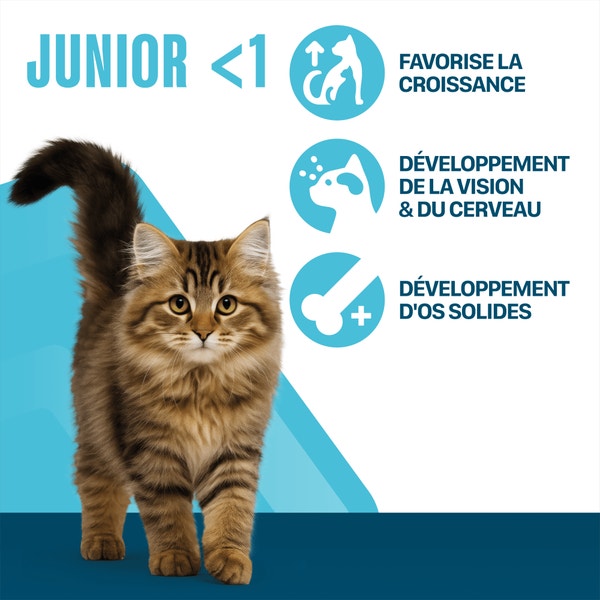 PERFECT FIT JUNIOR <1 Croquettes Riche en Poulet pour chaton 1,4kg & 750g image 2