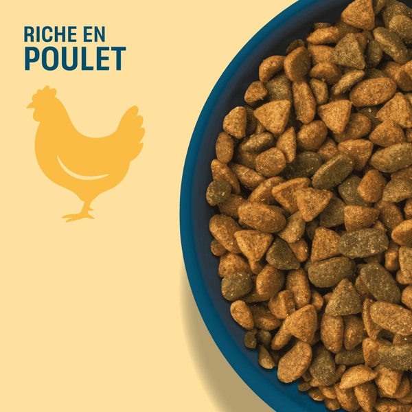 PERFECT FIT SENIOR 11+ Croquettes Riche en Poulet chat senior stérilisé 1,4kg & 2,8kg image 3