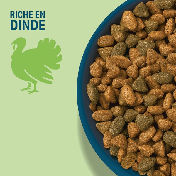 PERFECT FIT SENSITIVE 1+ Croquettes Riche en Dinde chat adulte sensible stérilisé 1,4kg image 3