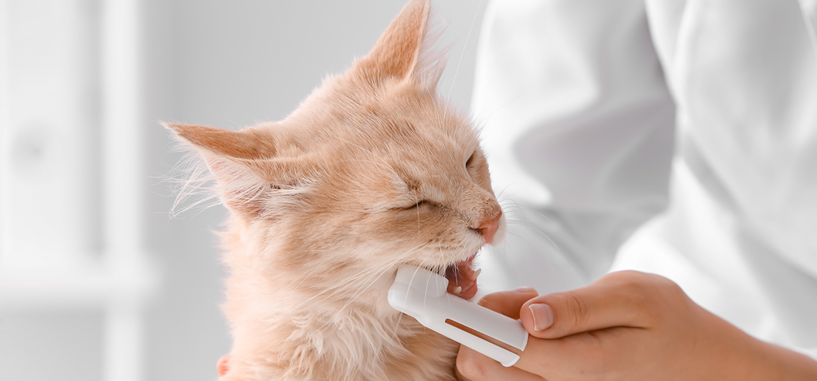 Perfect Fit™ brand imagery