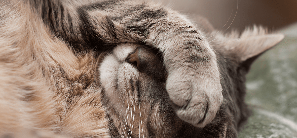 Perfect Fit™ brand imagery