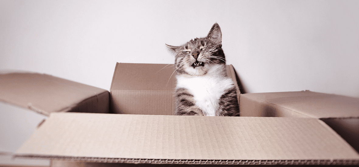 Perfect Fit™ brand imagery