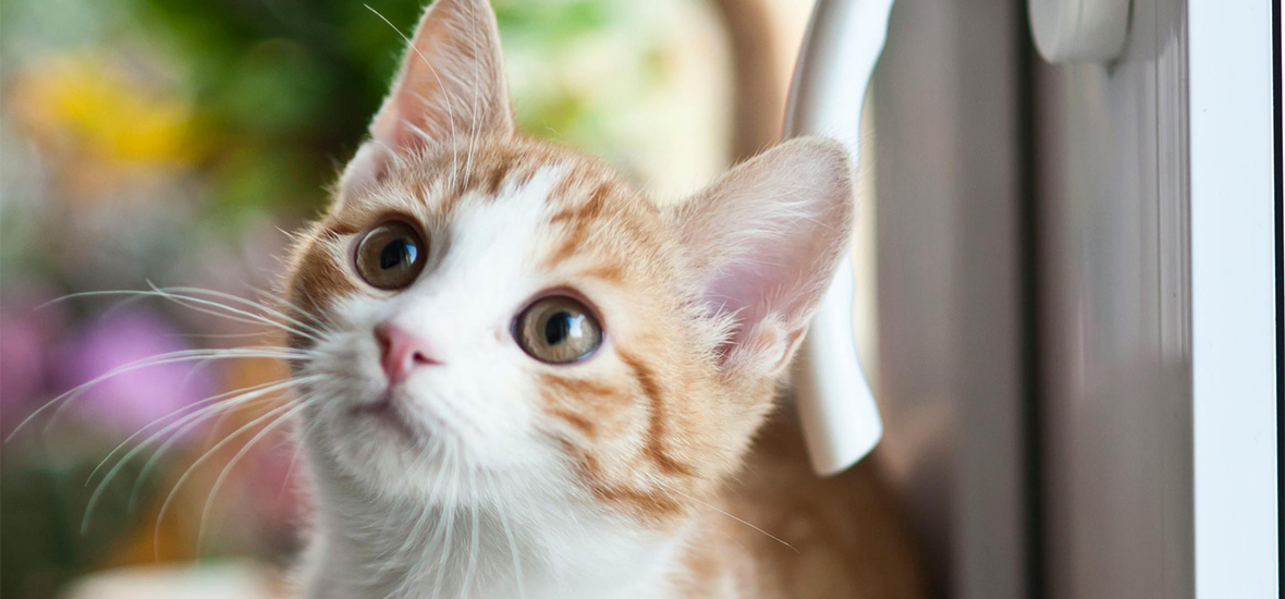 Perfect Fit™ brand imagery