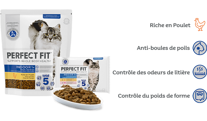 cat food icon fr